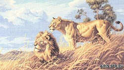 3866-DMS Набор для вышивания Dimensions 'Африканские львы', 46х25 см