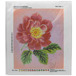 Бис3030 Рисунок на канве для вышивки бисером 'Цветок шиповника'