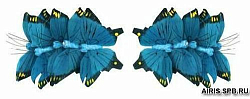 Бабочка-перо 0431-4202