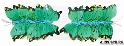 Бабочка-перо 0431-4202