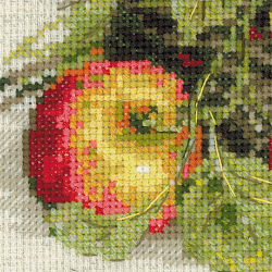 1450 Набор для вышивания Риолис 'Спелые яблоки', 30*30 см