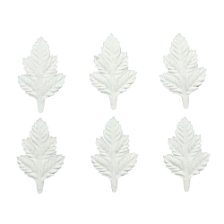 SCB300609 Набор листочков 'Кедр', белый, 5,8х3,5 см, 7 шт/упак