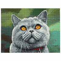 Cr 340026 Алмазная мозаика 'Британский кот', 30*40см, Cristyle