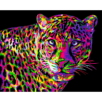 H141 Набор для рисования по номерам 'Цветной леопард' 40*50см