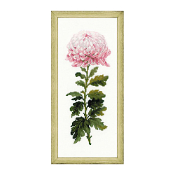 1425 Набор для вышивания Riolis 'Нежный цветок', 20*50 см
