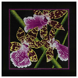 М265 Набор для вышивания RTO 'Орхидеи Зигопеталум', 36x36 см
