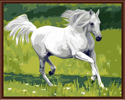 G369 Набор для раскрашивания по номерам 'Белый конь', 40x50см
