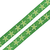 Лента атласная 'Морская звезда', 25мм*3м зеленый