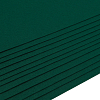 Фетр листовой жесткий, 1.0мм, 160гр, 20х30см, 12шт/упак Astra&Craft AF846 болотный