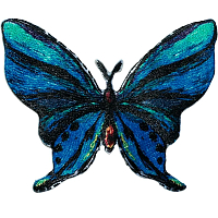 924365 Термоаппликация Бабочка, самоклеящаяся/приутюживаемая, синий/черный цв. 1шт. Prym
