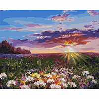 S116 - Набор для рисования по номерам 'Цветочное поле на рассвете' Екатерина Давалова, 40*50см, Cristyle