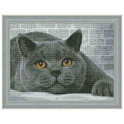 АЖ-1463 Картина стразами 'Британский кот' 40*30 см