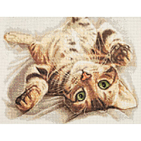 Cr 430068 Алмазная мозаика 'Бенгальский котенок' Мария Сергеева, 40*30см, Cristyle