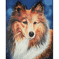 Cr 450069 Алмазная мозаика 'Портрет собаки Колли' Мария Сергеева, 40*50см, Cristyle