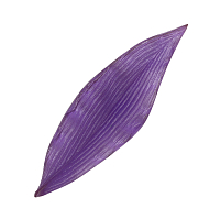 Молд st-0077-1 лист тюльпана