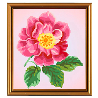 Бис3030 Рисунок на канве для вышивки бисером 'Цветок шиповника'