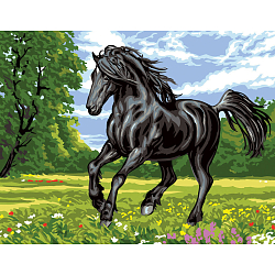 9880.0142.0477 Канва с рисунком Royal Paris 'Черный конь' 45*60 см