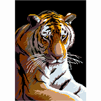 2076 Набор для вышивания 'Тигр' 48х33 см