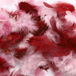 63821020 Декоративные перья розовое ассорти 10г Glorex