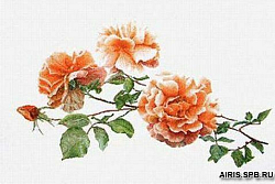 414А Набор для вышивания Gouverneur 'Три розы', Аида, 44*65 см