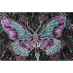 Распечатать раскраски бабочек. Рисунки бабочек, картинки бабочек