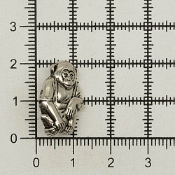 Пуговицы под металл 'Обезьяна' 21мм, 36 шт,цвет AS серебро