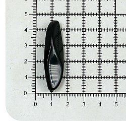 Б25 (3.01-203-45) Пуговица 71L (45мм) на ножке, пластик