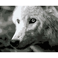 F011 Набор для рисования по номерам 'Белый волк' 40*50см