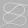 Эко-шнур бумажный декоративный 5мм*100м PR002 белый