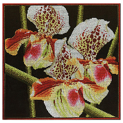 М263 Набор для вышивания RTO 'Орхидеи Пафиопедилум', 36x36 см