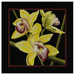 М264 Набор для вышивания RTO 'Орхидеи Цимбидиум', 36x36 см