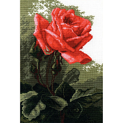 443 Набор для вышивания РС-Студия 'Роза розовая' 20*30 см