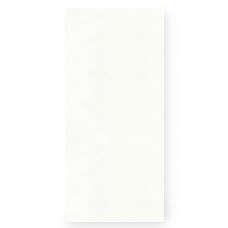 929507 Нейлоновая самоклеящаяся заплатка 6,5*14см упак(2шт), белый цв. Prym