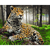 H072 Набор для рисования по номерам 'Леопард в лесу' 40*50см
