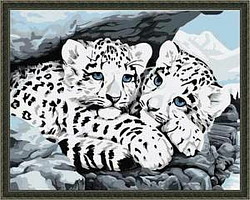 G194 Набор для раскрашивания по номерам 'Белый леопард', 40х50см