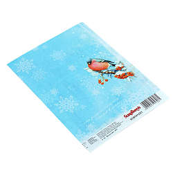 SCB501021 Карта для декупажа 'Снегири', 32*45 см, Scrapberry's