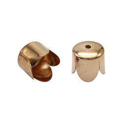4AR226 Концевик для круглого шнура, 10шт/упак, Astra&Craft (Золото)