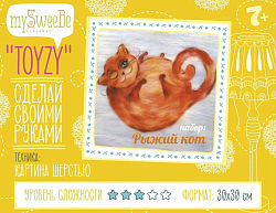 TZ-P031 Картина шерстью 'Рыжий кот' 30х30см Toyzy