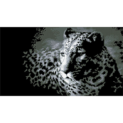 0036 Набор для вышивания Nitex 'Леопард', 36х20 см