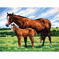 10423-CDA Канва с рисунком Collection D'Art 'Лошадь с жеребенком' 40*50 см