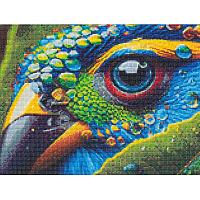 Cr430213 Алмазная мозаика 'Глаз попугая', 40х30см, Cristyle
