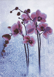 Б-673 Набор для вышивания бисером Чарівна Мить 'Дикая орхидея' 21*30см