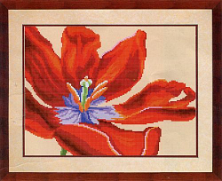 СБ-1020 Канва с рисунком для вышивания бисером 'Красный тюльпан' Hobby&Pro 30*23см