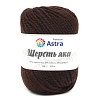 Пряжа Astra Premium 'Шерсть яка' (Yak wool) 100гр 120м (+/-5%) (25%шерсть яка, 50%шерсть, 25%фибра) 11 горький шоколад