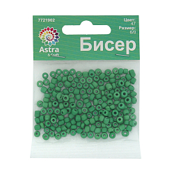 Бисер Astra&Craft 6/0, 15г