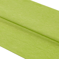 Бумага креповая 50*200 см, 35 гр/м2, 2 шт, цв. 80-34 светло-зеленый, Astra&Craft