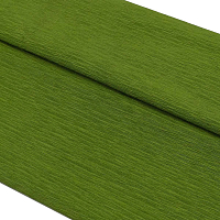 Бумага креповая 50*200 см, 35 гр/м2, 2 шт, цв. 80-710 черепахово-зеленый, Astra&Craft